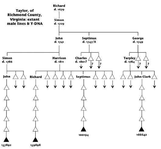 Most Recent Common Ancestor Chart